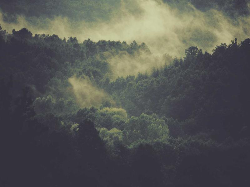 2025最新膳食指南 教你吃得健康