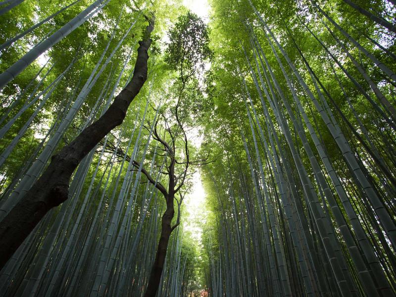 体重管理不等于减肥 正确认识体重管理